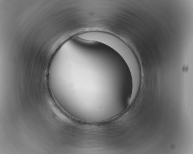X0000113080389200909182054