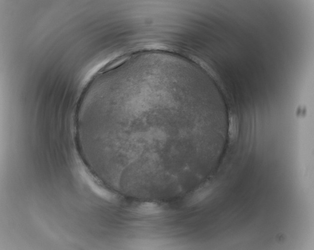 X0000113080390200909182054