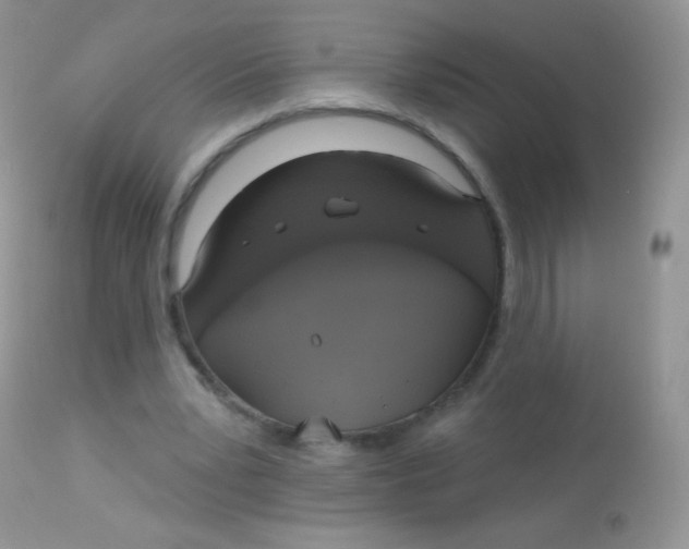 X0000113080391200909182054