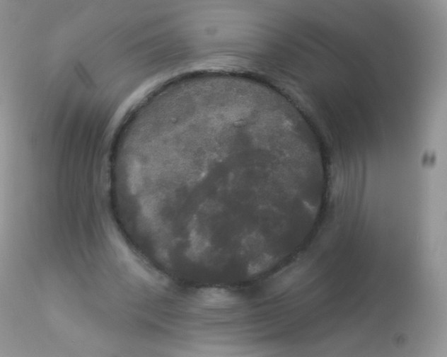 X0000113080392200909182054