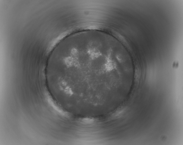 X0000113080394200909182054