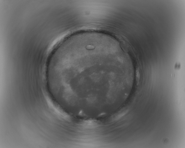 X0000113080396200909182054