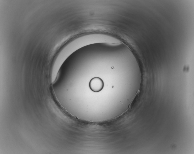 X0000113080399200909182054