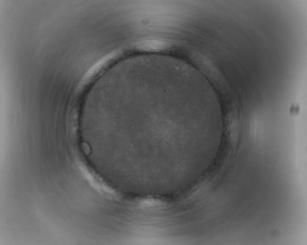X0000113080400200909182054