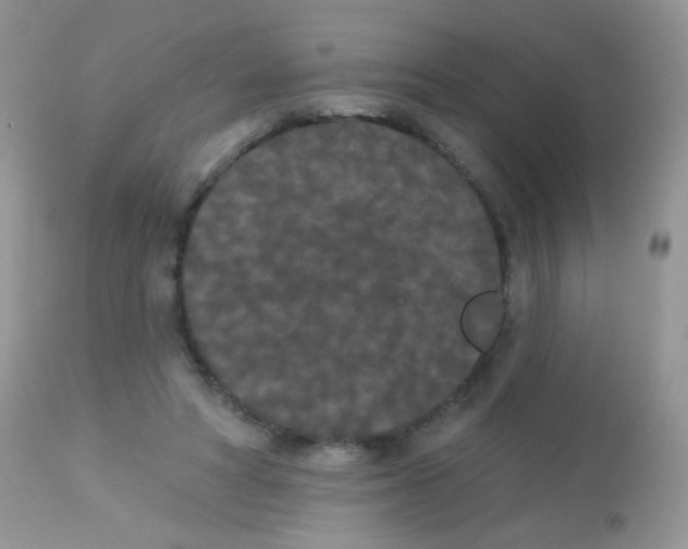 X0000113080402200909182054