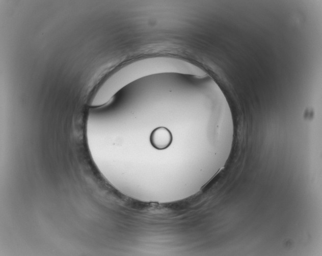X0000113080403200909182054
