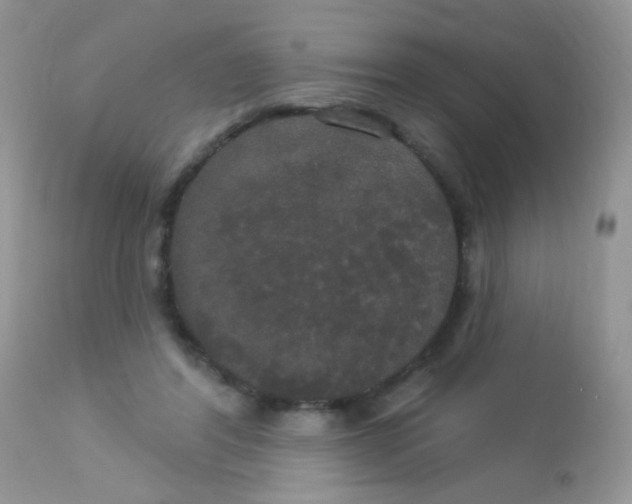 X0000113080404200909182054