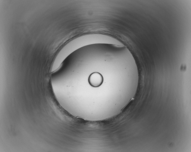 X0000113080405200909182054
