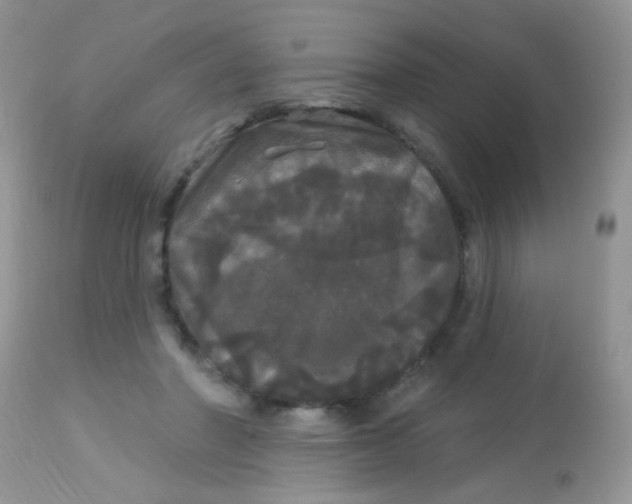X0000113080406200909182054