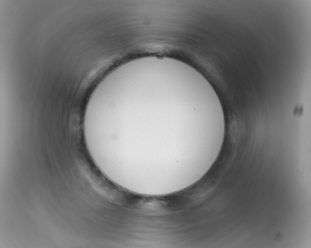 X0000113080407200909182054