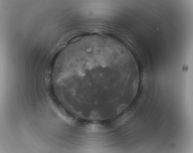 X0000113080408200909182054