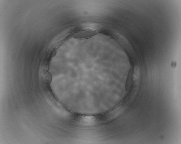 X0000113080409200909182054