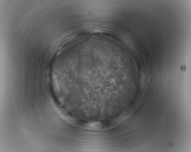 X0000113080410200909182054