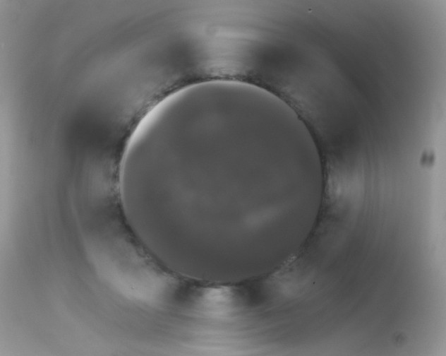 X0000113080411200909182054