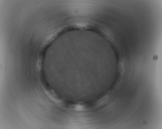 X0000113080412200909182054