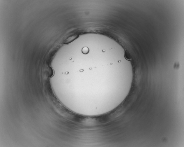 X0000113080413200909182054