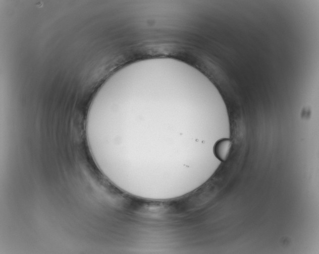 X0000113080414200909182054