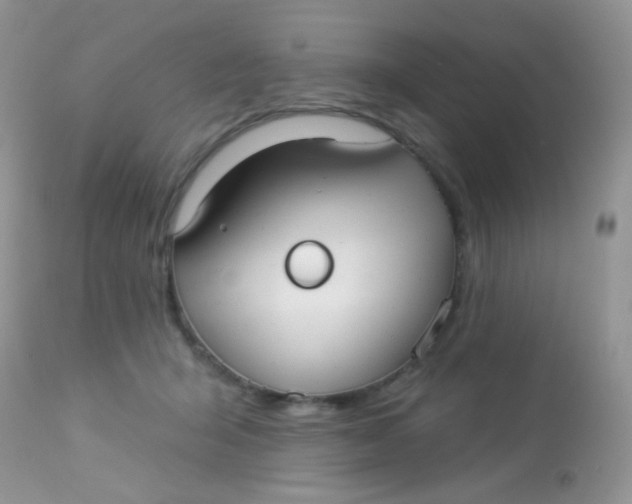 X0000113080415200909182054