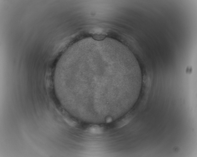X0000113080416200909182054
