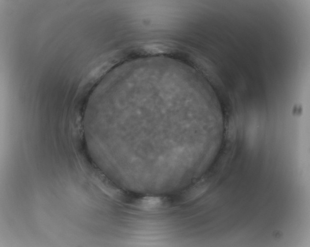 X0000113080418200909182054