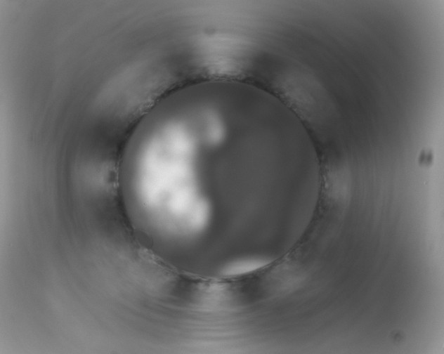 X0000113080419200909182054