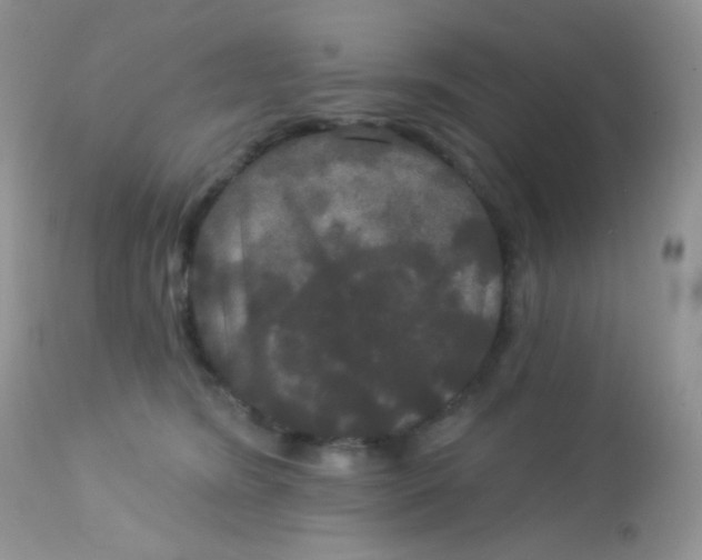 X0000113080420200909182054