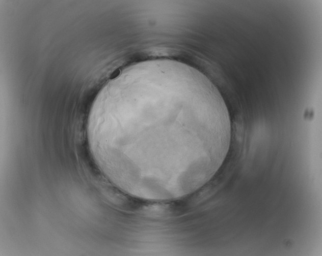 X0000113080422200909182054
