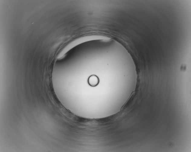 X0000113080423200909182054