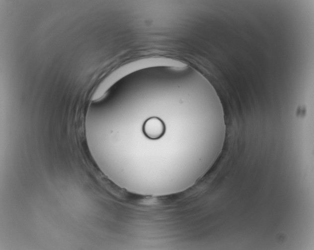 X0000113080425200909182054
