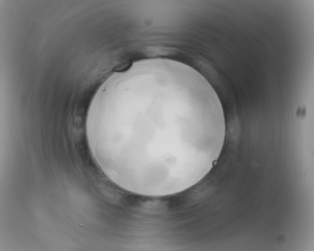 X0000113080426200909182054