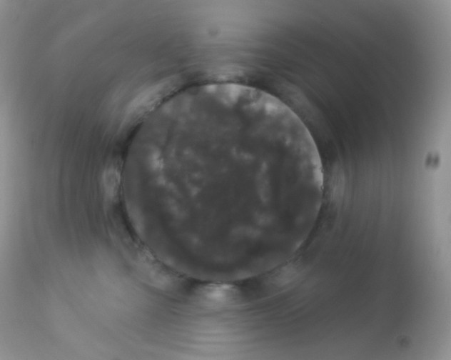 X0000113080427200909182054