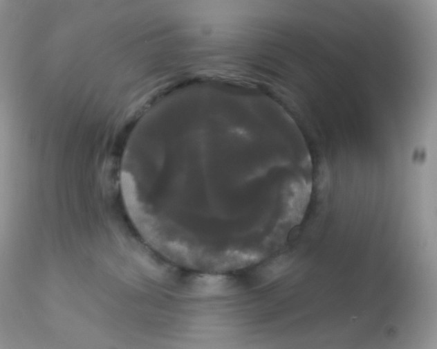 X0000113080428200909182054