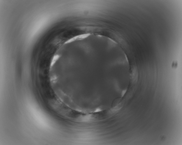 X0000113080430200909182054