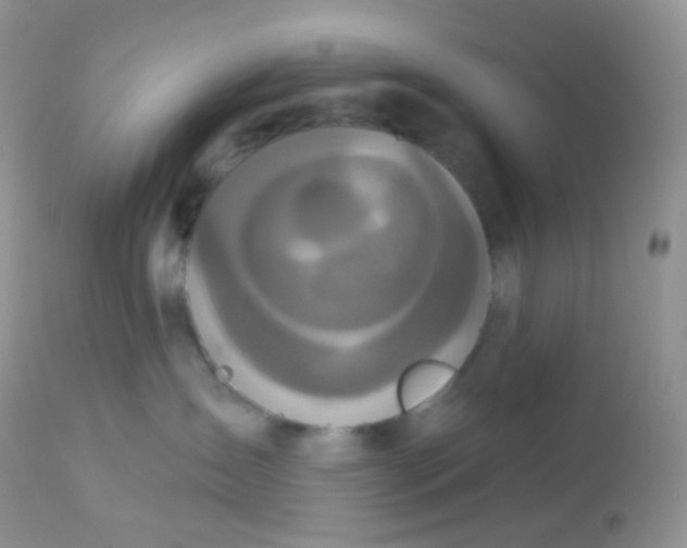 X0000113080431200909182054