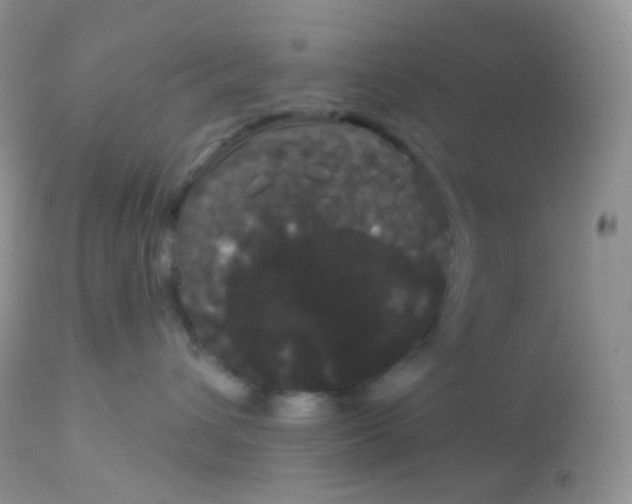 X0000113080432200909182054