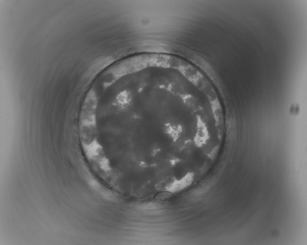 X0000113080433200909182053