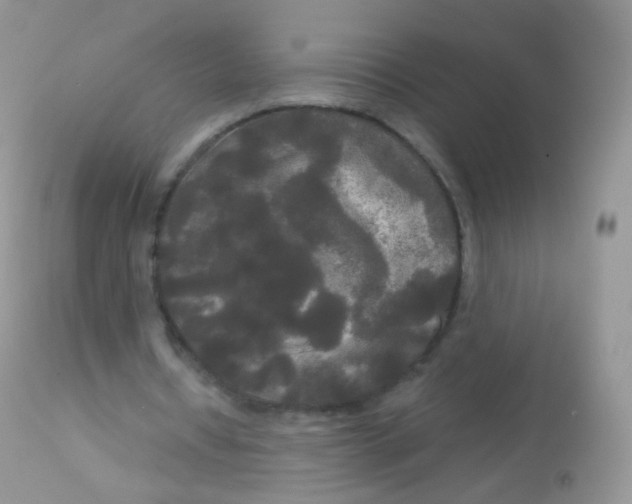 X0000113080434200909182053