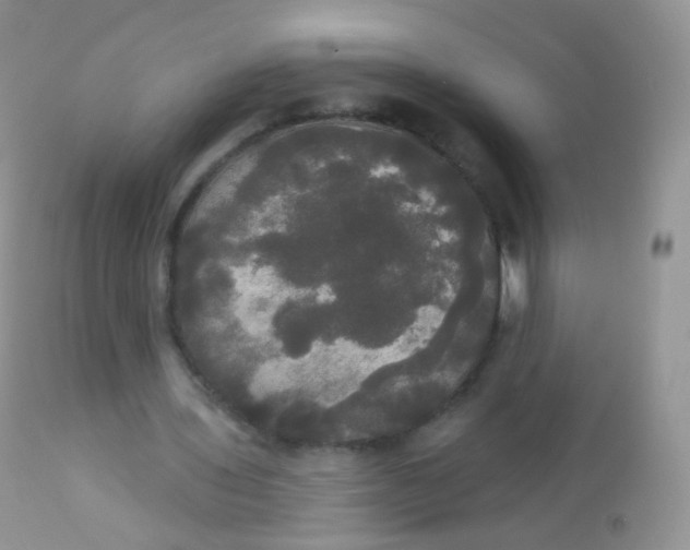 X0000113080435200909182053