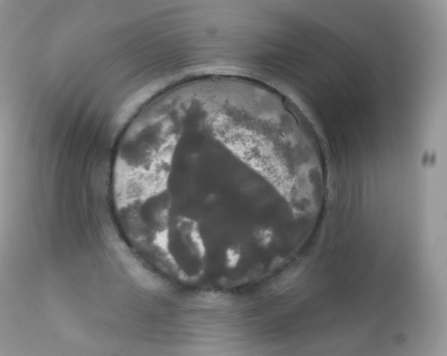 X0000113080437200909182053