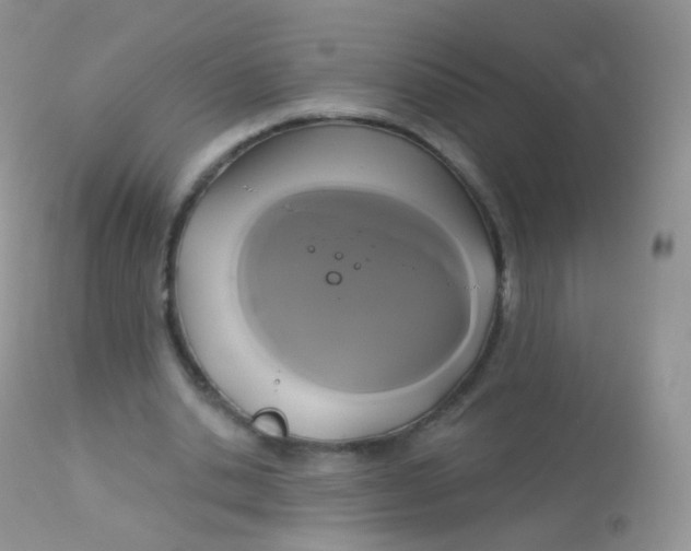X0000113080438200909182053
