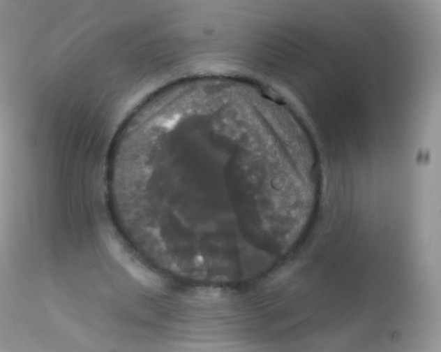 X0000113080439200909182053