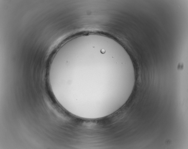 X0000113080440200909182053