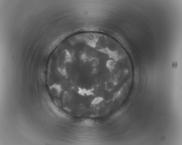 X0000113080441200909182053