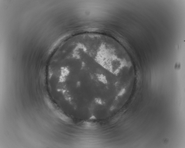 X0000113080442200909182053