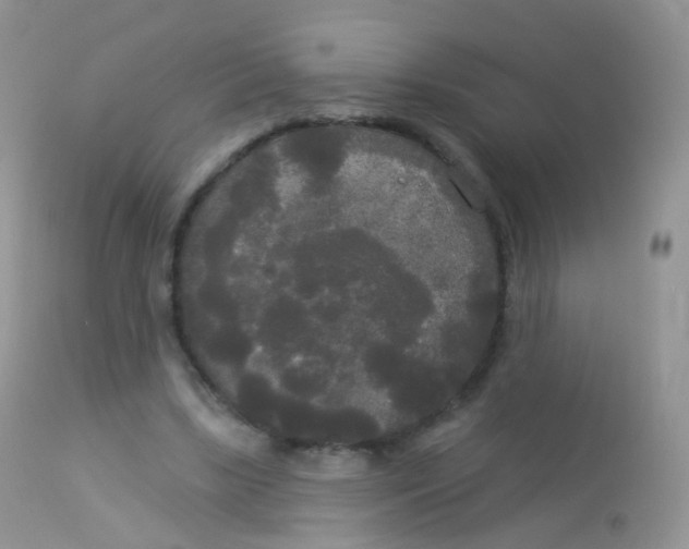 X0000113080443200909182053