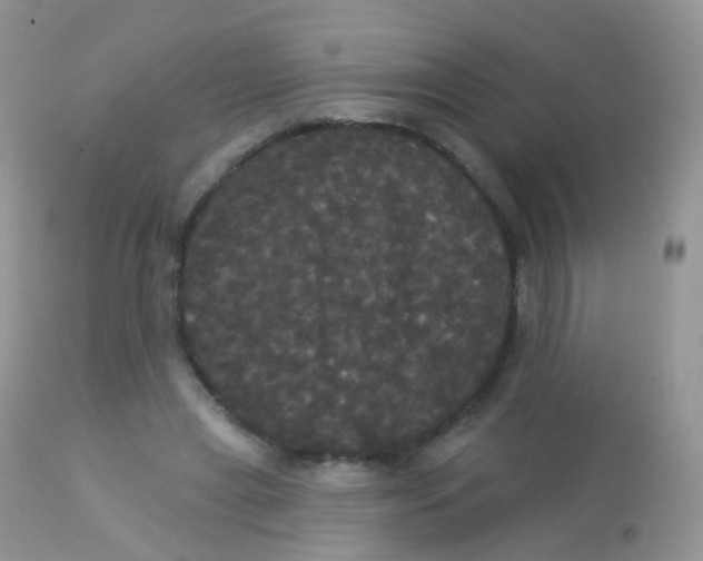 X0000113080445200909182053