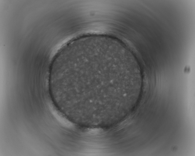 X0000113080446200909182053
