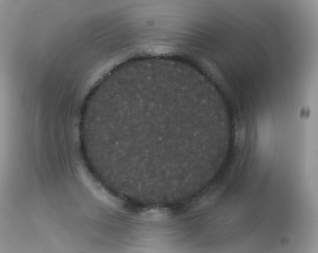 X0000113080447200909182053