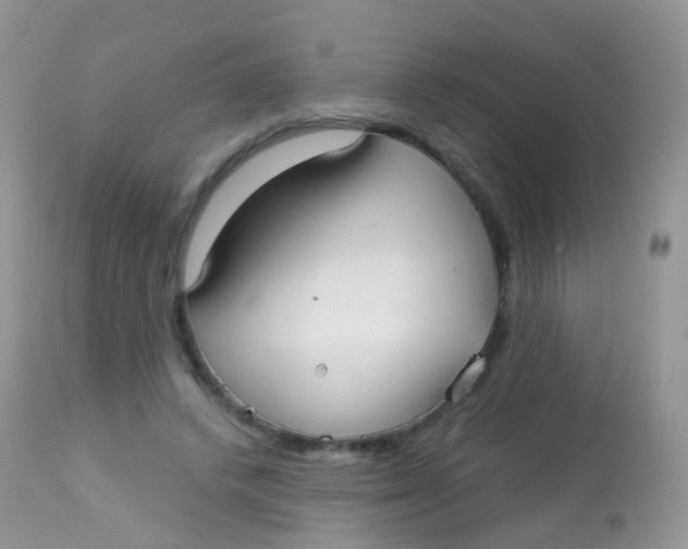 X0000113080448200909182053