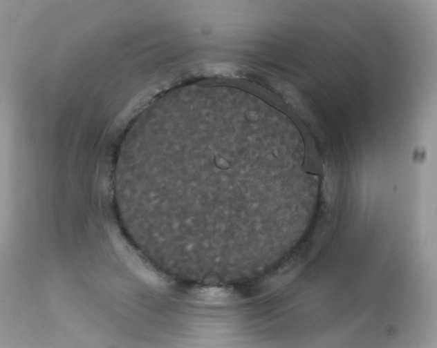 X0000113080449200909182053